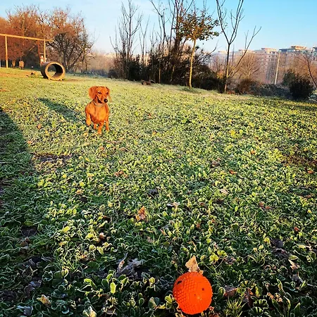 Domus La Conca Apartament